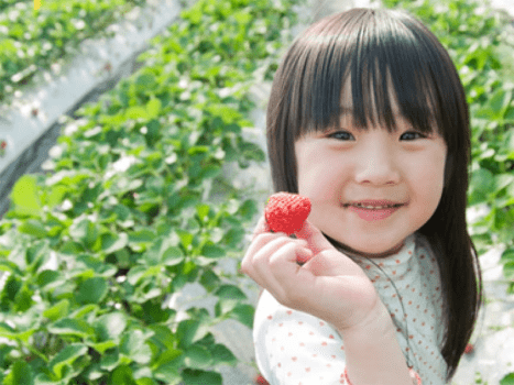 【イチゴ狩り体験】お部屋食☆イチゴ食べ放題と淡路島満載会席で満腹プラン♪