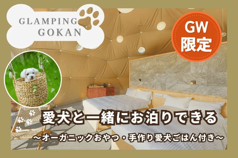 【GW限定】愛犬3大特典付♪手作り愛犬ご飯＆おやつ＆同伴無料で一緒に過ごす連休満喫ステイ（2食付）