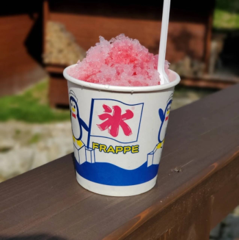 【夏休み限定プラン】子連れファミリー必見！＜釣り堀｜昆虫採集｜かき氷食べ放題＞で思い出作り（2食付）