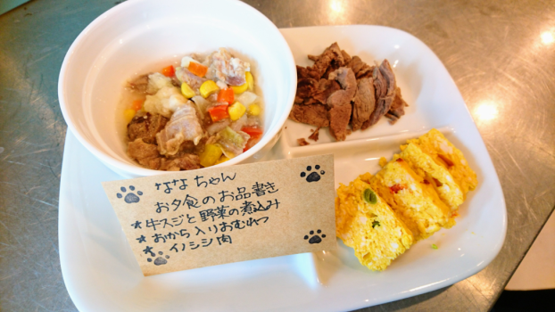 わんちゃん手作りご飯