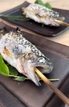 ヤマメの塩焼き