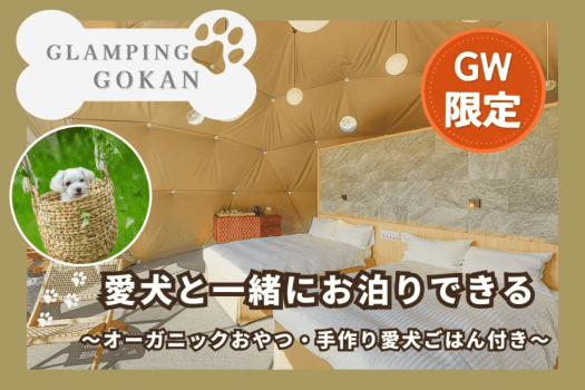 【GW限定】愛犬3大特典付♪手作り愛犬ご飯＆おやつ＆同伴無料で一緒に過ごす連休満喫ステイ（2食付）