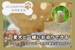 愛犬とお泊りできるプラン