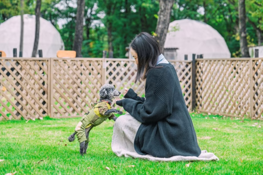 Premier-dome A【直径8m&屋外露天風呂】(犬同伴可) Premier-dome A【直径8m&屋外露天風呂】(犬同伴可)