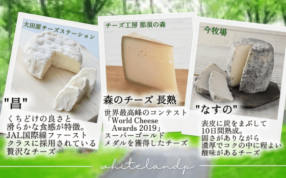 セレクトチーズのオードブルプラン
