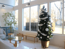 クリスマスツリー