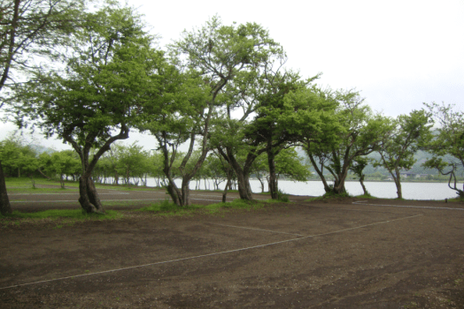 日帰りデイキャンプ（ファミリー）