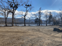 フリーサイトです。