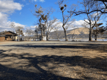 フリーサイトです。