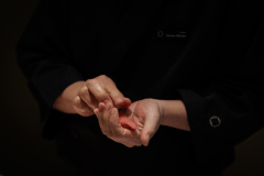 Sushi Kaiseki Course Plan【Limited to 9 servings per day】