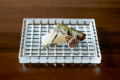 Sushi Kaiseki Course Plan【Limited to 9 servings per day】
