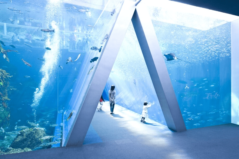 【「環境水族館」アクアマリンふくしま１日入場券付】福島の厳選食材を味わう極上BBQ！