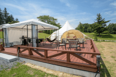 ロータステント