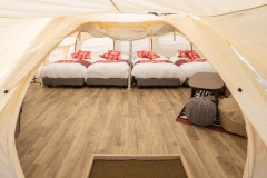 ロータステント