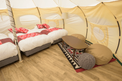 ロータステント