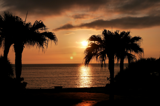 大浜海浜公園（夕日）