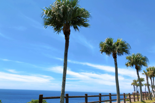大浜海浜公園