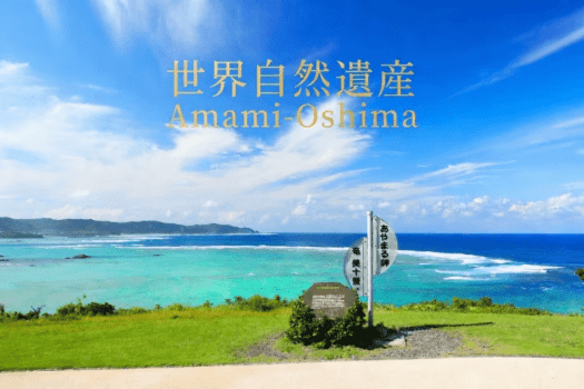 【素泊まり】★世界自然遺産登録記念★奄美大島をお得に！自然を感じる特別プラン