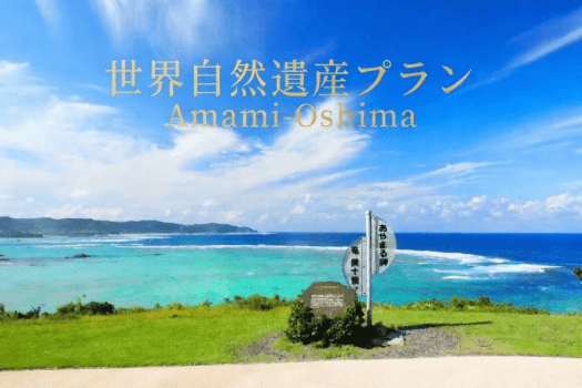◆世界自然遺産登録記念♪お得に朝食付プラン