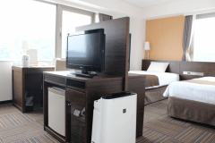 デラックスツイン