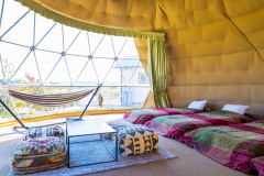 【四床房型】直徑7公尺圓頂帳篷