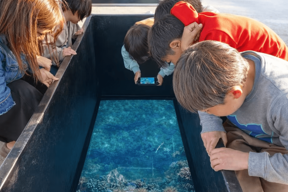 【わくわく海中探検】服を着たままお魚ウォッチング♪伊勢志摩初！グラスボート乗船券付きラグジュアリーステイ