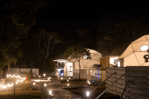 【期間限定】夜の海は、まるで魔法。ライトに照らされた魚たちを、船の上からこっそりのぞいてみませんか？