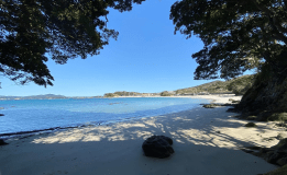 日帰りアクティビティ