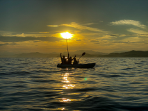 日帰りアクティビティ