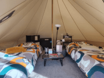 超お得ウッドランドエリア🌲