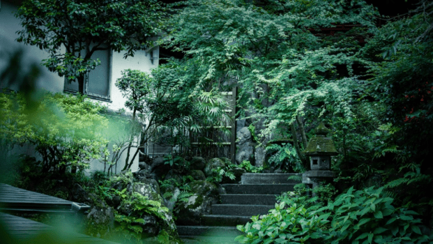 ＧＷ期間限定プラン（お食事なし）