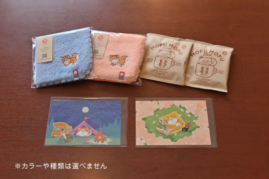 秋田キャッスルホテル開業55周年スペシャル！秋田犬たれみみだいちゃん ルーム （コーナーツイン）朝食付