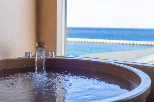 【乗馬体験付き】優雅な乗馬リトリート｜海沿い散歩 or 海泳ぎ（素泊まり）｜アクティビティ