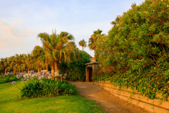 【ディナーBBQ】ヴィラ・デ・グラシア／ご利用時間：16時30分～20時30分