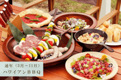 ハワイアンBBQプラン