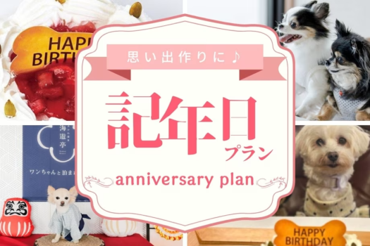 【Anniversaryプラン|三河会席◆極】愛犬の笑顔輝く記念日♪　ケーキ＆衣装で最高の思い出作り
