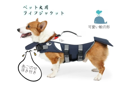 【愛犬と夏満喫｜三河会席◆極】ワンちゃんもみんなも嬉しい5大特典付き！徒歩2分のビーチへGO！