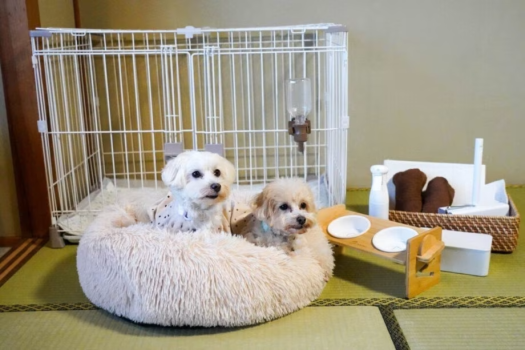 愛犬用アメニティー＆ゲージ完備