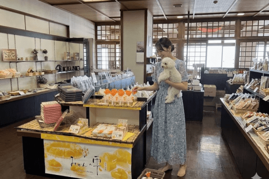 【公式限定｜5～6月】離れ ゆらぎ｜露天風呂Ｘ西尾抹茶を楽しむ海辺のおこもり連泊｜三河会席◆極と特別会席〈2泊4食〉