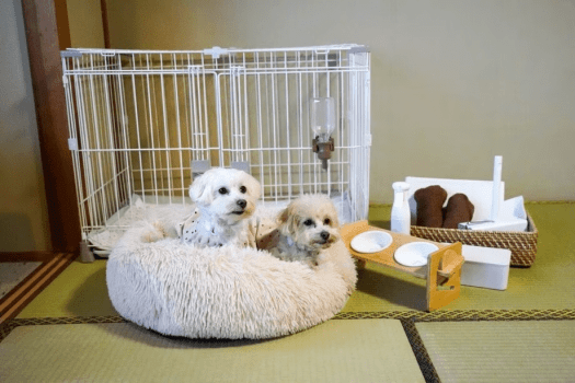 到着したら、もうちゃんと準備してありました。
愛犬のために必要なものは、あらかじめお部屋に揃えてお待ちしています。