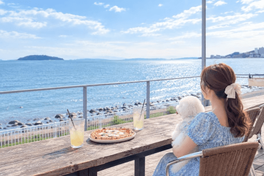pizzeriaoceanピッツェリア オーシャン
【徒歩すぐ】テラス席のみペット可
〒444-0702 愛知県西尾市寺部町笠外１８６&minus;３６
0563652016