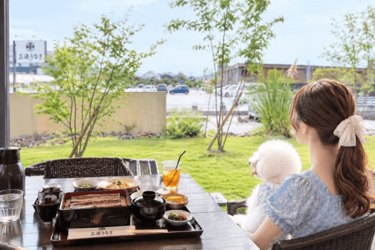 うなぎ専門　三淡うなぎ店
【車:約20分】テラス席のみペット可
愛知県西尾市斉藤町大割33-1
0563-65-3578