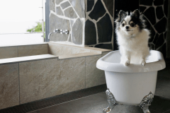 【ペット可】テラス・露天風呂付きプレミアム56平米｜離れ ゆらぎ