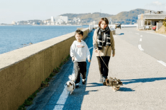 チェックアウトまで、海辺をのんびり歩く。
そんな何気ない時間が、愛犬との旅の一番の思い出になります。
宿のすぐ目の前に、三河湾が広がっています