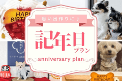 【Anniversaryプラン|三河会席◆極】愛犬の笑顔輝く記念日♪　ケーキ＆衣装で最高の思い出作り