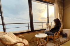 何もしない時間が、いちばんの贅沢かもしれない。
夕暮れの三河湾を、愛犬と並んでただ眺める。
早めに計画して、こんな時間をゆっくり過ごしませんか