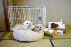 到着したら、もうちゃんと準備してありました。
愛犬のために必要なものは、あらかじめお部屋に揃えてお待ちしています。