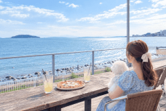 pizzeriaoceanピッツェリア オーシャン
【徒歩すぐ】テラス席のみペット可
〒444-0702 愛知県西尾市寺部町笠外186−36
0563652016 pizzeriaoceanピッツェリア オーシャン
【徒歩すぐ】テラス席のみペット可
〒444-0702 愛知県西尾市寺部町笠外186−36
0563652016