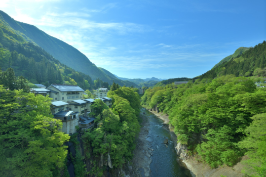 【慶びの旅】5つの無料特典付き。大切な人と特別なひとときを過ごす記念日｜美味少量懐石｜1泊2食
