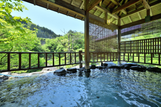 【マタニティプラン】葉酸たっぷりのお食事と、お部屋の温泉で温泉休日♪｜基本懐石｜1泊2食